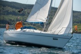 tigger 2828c whyw22 sun 750_2519yi